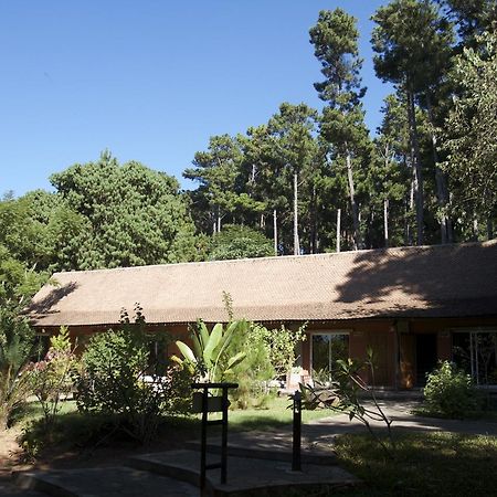 Hotel Lodge Au Bois Vert Antananarivo International Airport Ivato Exterior photo